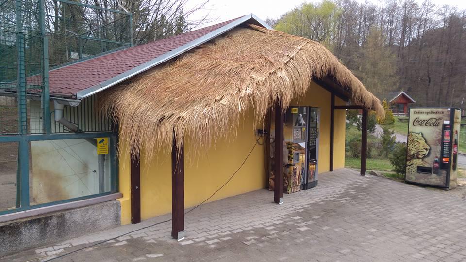 zoo1